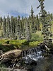 photo thumbnail #11