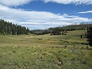 photo thumbnail #10