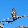 2023-09-24 :2: Coon Bluff Loop :: gummo