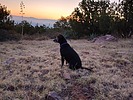 photo thumbnail #4