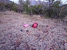 photo thumbnail #5