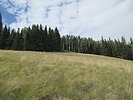 photo thumbnail #12