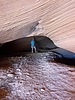 photo thumbnail #10