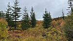 photo thumbnail #5