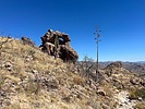 photo thumbnail #2