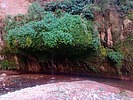 photo thumbnail #12