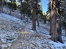 photo thumbnail #4