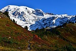photo thumbnail #12