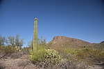 photo thumbnail #2