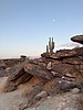 photo thumbnail #2