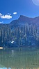 photo thumbnail #6