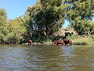 photo thumbnail #9
