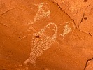 photo thumbnail #14