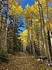photo thumbnail #6
