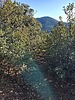 2023-09-27 :2: Blue Jay Ridge Loop :: Mike_W