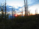photo thumbnail #14