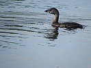photo thumbnail #12