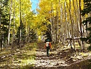 photo thumbnail #3