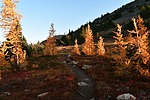 photo thumbnail #7