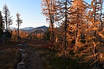 photo thumbnail #9