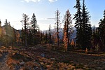 photo thumbnail #6