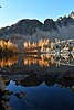 photo thumbnail #5