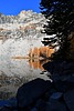 photo thumbnail #4