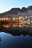 photo thumbnail #10