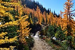 photo thumbnail #14