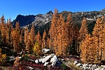 photo thumbnail #12