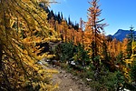 photo thumbnail #13