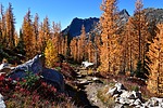 photo thumbnail #9