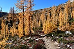 photo thumbnail #4