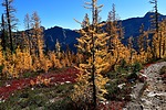 photo thumbnail #9