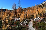 photo thumbnail #2