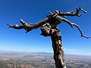 photo thumbnail #3