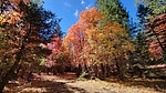 photo thumbnail #5