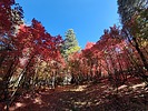 photo thumbnail #13