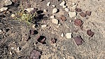 photo thumbnail #3