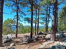 photo thumbnail #4