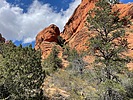 photo thumbnail #9