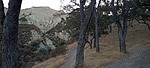 photo thumbnail #2