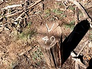 photo thumbnail #15