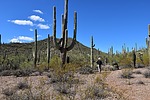 photo thumbnail #4