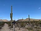 photo thumbnail #2