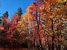 photo thumbnail #8