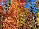 photo thumbnail #9