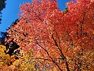 photo thumbnail #15