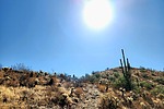 photo thumbnail #6