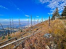 photo thumbnail #9